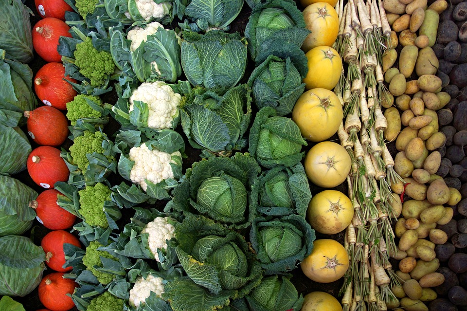 comprar verduras de León