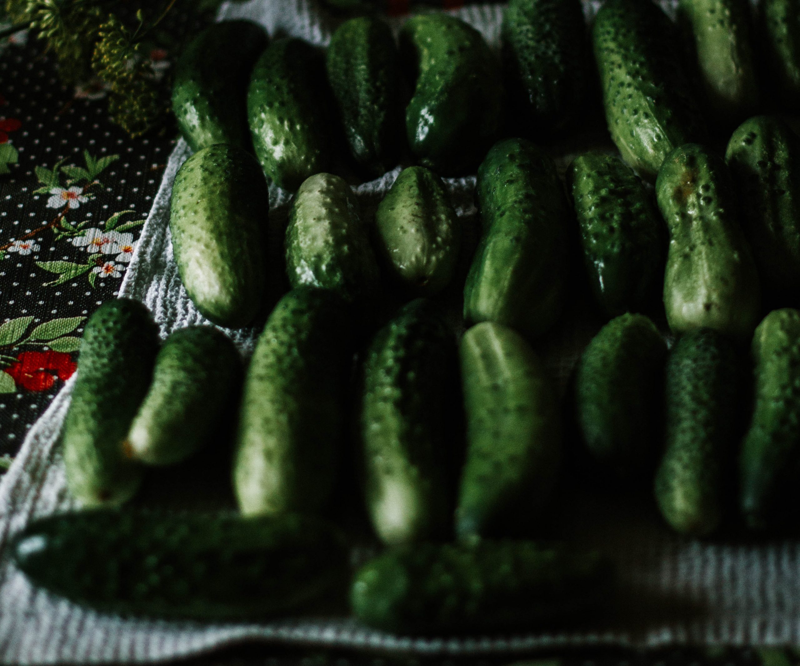 Le concombre - Quels sont ses bienfaits et comment le préparer ?