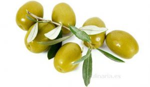 Variedades de aceitunas. Aceituna Hojiblanca