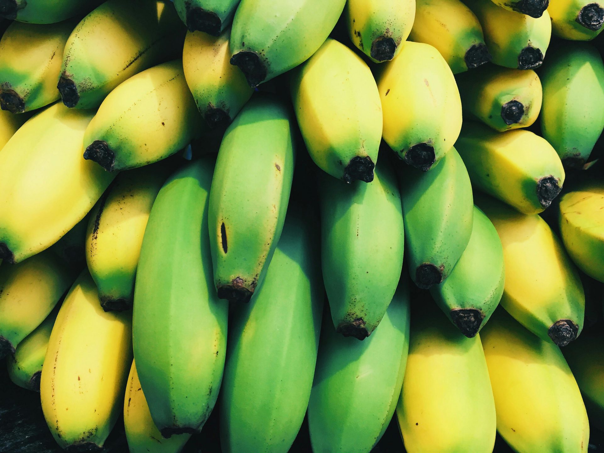 Types of bananas. Did you know them all?