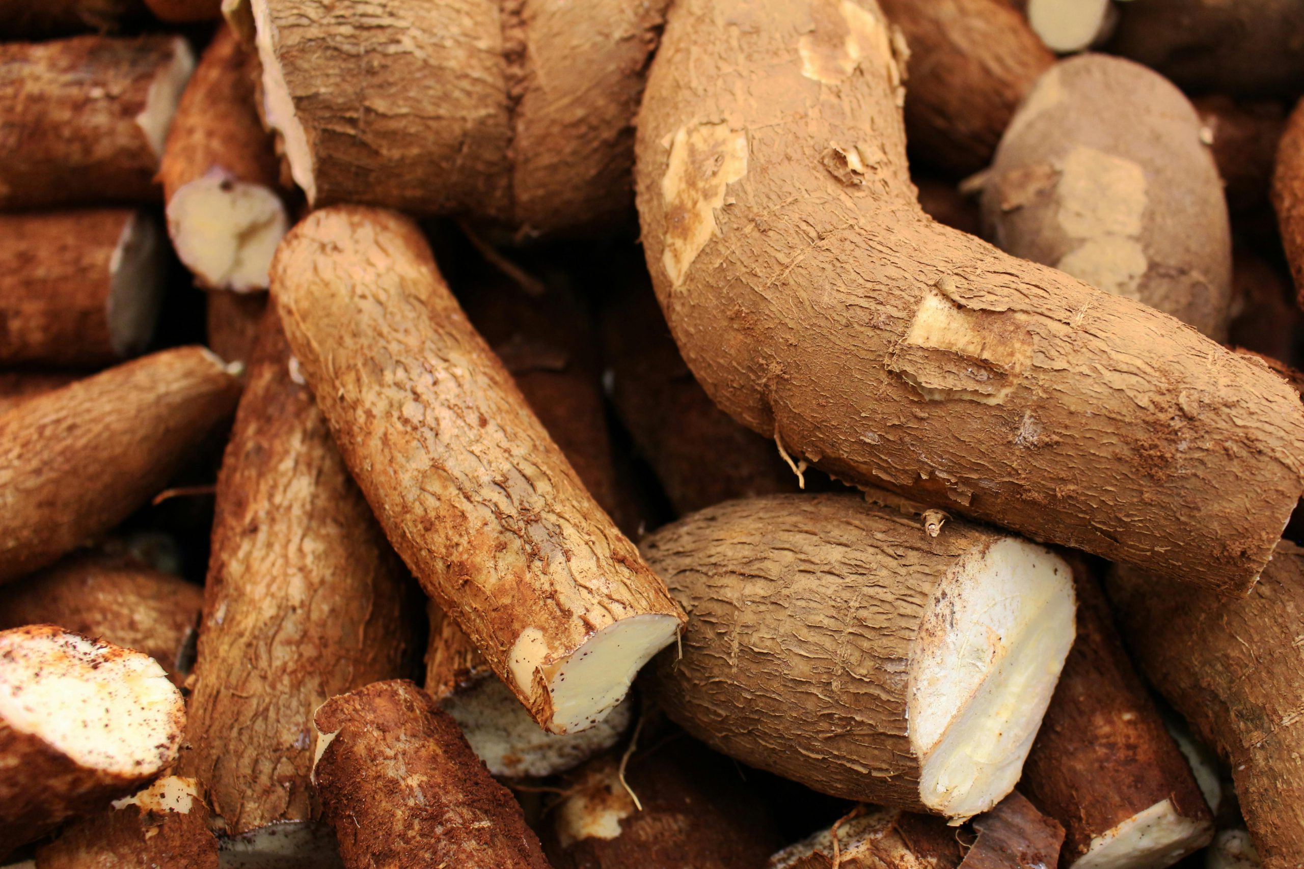 Yuca: origen, propiedades y beneficios de este superalimento