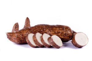 Differences between cassava and yam