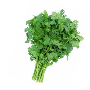 A que sabe el cilantro