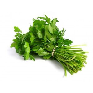 A que sabe el cilantro