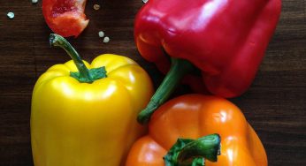 Tipos de pimientos: todo lo que necesitas saber de este alimento