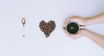 Connaissez-vous le café Robusta et Arabica?