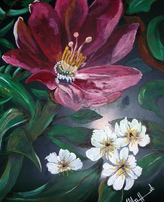 Imagen de la empresa Alfonso Gallardo a la que se le ofrecen los descuentos