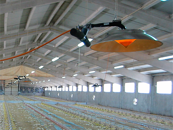 Imagen de la empresa Suministros Coren a la que se le ofrecen los descuentos